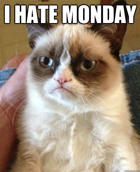 I Hate Monday Cat Meme Cat Planet Cat Planet