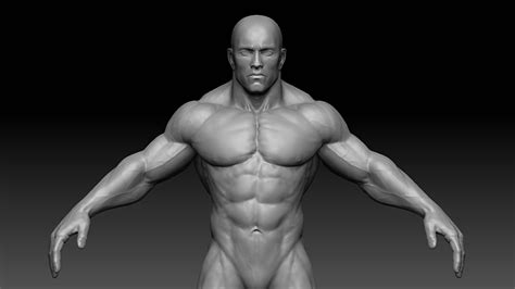 Muscular Male Body D Model Game Ready Obj Fbx Ztl Cgtrader Com