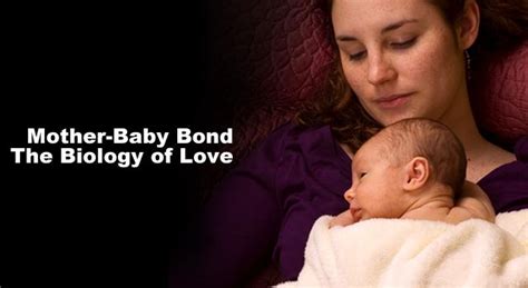 Mother And Baby Bonding Childbirth Odyssey