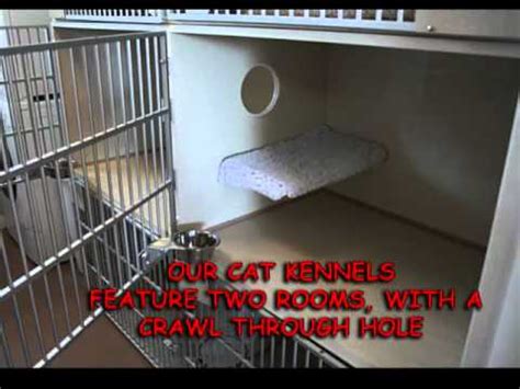 Trust noah's ark pet crematory llc for exemplary pet cremation services. Noah's Ark Pet Boarding & Supplies-01.wmv - YouTube