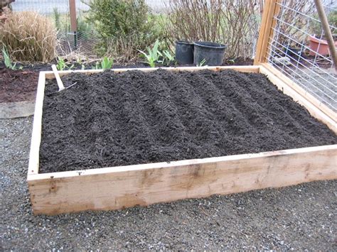 The Tacoma Kitchen Garden Journal Raised Vegetable Beds Vegetable
