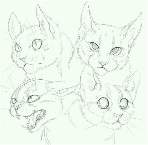 Pin By Ohico On Drawing ~ Tutorials ~ Reference Cat Drawing Tutorial