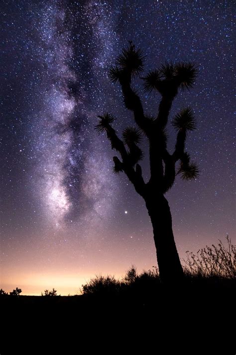 Joshua Tree National Park Print Southwest Decor Milky Way Etsy