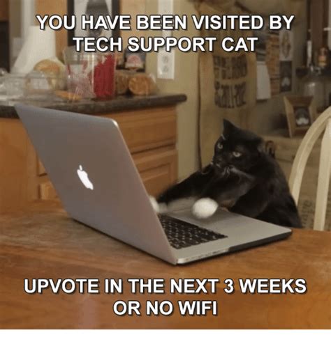 25 Best Memes About Tech Support Cat Tech Support Cat Memes