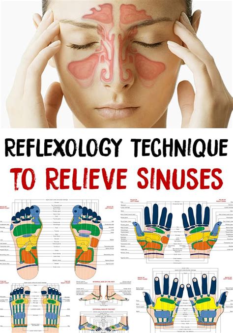 Sinuses Reflexology Technique To Relieve Sinuses Reflexology Techniques Reflexology