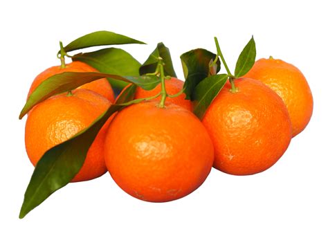 Tangerine Fruit Food Transparent Png 8550727 Png