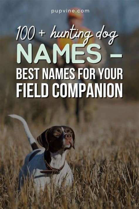 100 Hunting Dog Names Best Names For Your Field Companion Hunting