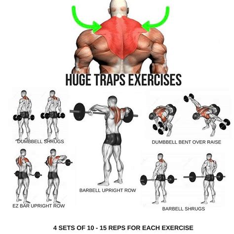 Huge Traps Workout Step By Step Tutorial Traps Workout Step Workout