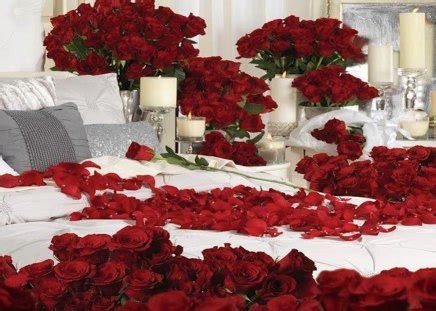 However, making your own diy flower candles is much simpler than many people think and a very. Bed of Roses - Flowers & Nature Background Wallpapers on ...