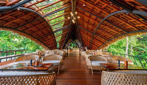 Located in the center of harwich port, 3 monkeys is an open air concept focused on cape inspired japanese, eastern & american street bar + kitchen + sushi. Three Monkeys: The New Phuket's Dining Experience in Green ...