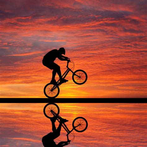 2048x2048 Cycling Sunset Ipad Air Hd 4k Wallpapers Images Backgrounds