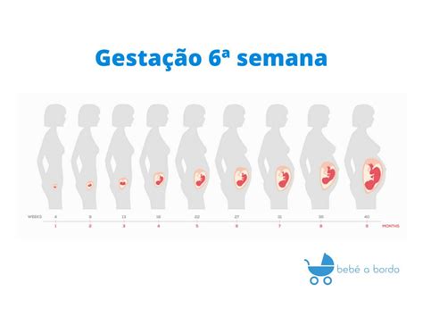 Quantos Dias é 6 Semanas