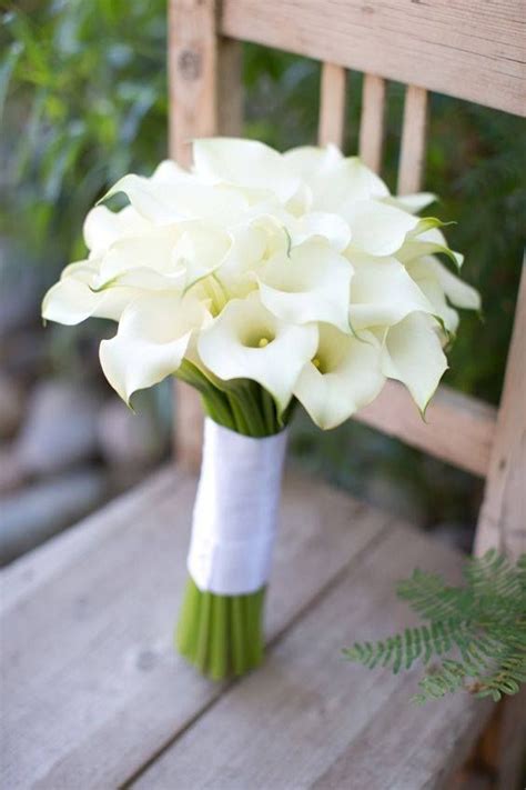 Pin on Flowers