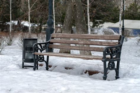 Park Bench In Winter Stock Image Image Of Bench Winter 139454301