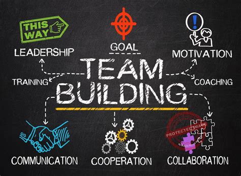 How To Build A Cohesive Team Leadership Tips