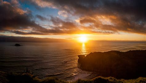 Sunset At Gannet Colony Muriwai New Zealand Website In Flickr
