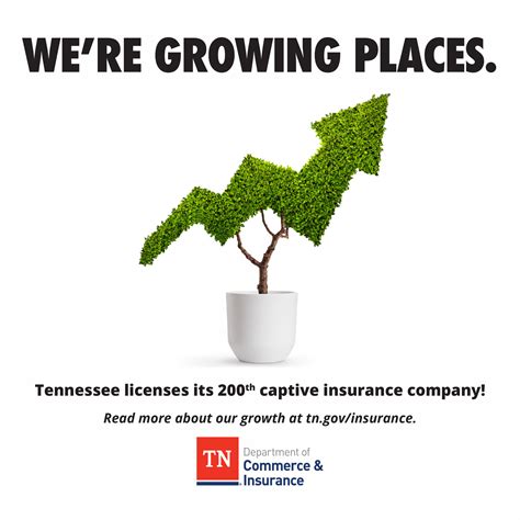 Check spelling or type a new query. Tennessee licenses its 200th captive insurance company | UCBJ - Upper Cumberland Business Journal