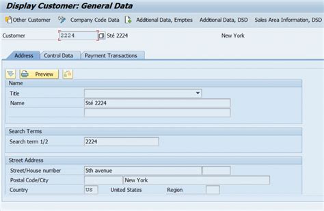 How To Display Customer Master Record In Sap Sap Tutorial
