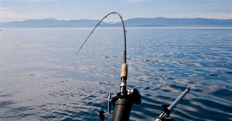 Today Is License Free Saltwater Fishing Day