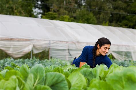 The Female Farmer Project Huffpost