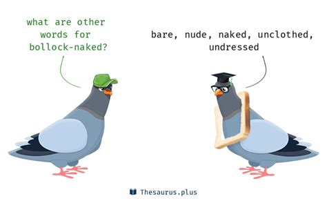 Bollock Naked Synonyms Similar Words For Bollock Naked