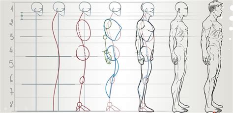 Рисование контуров тела человека