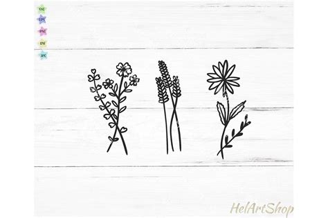 Free Free 62 Wildflower Svg Free SVG PNG EPS DXF File