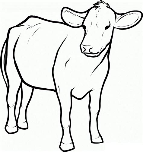 Free Printable Cow Coloring Pages
