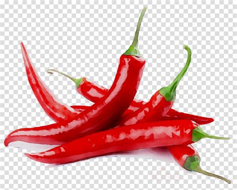 Cayenne Pepper Chili Pepper Smoking Hot Sauce Spice Png Clipart Bell