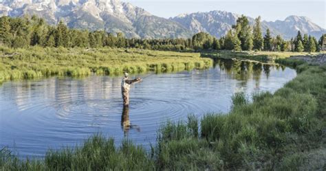 Man Fly Fishing In Grand Teton National Park Wyoming Palmer Nunn