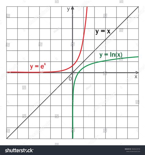 Logarithmic Exponential Functions Graphs Stock Vector (Royalty Free