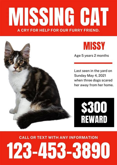 Missing Cat Poster Template Word Free Prime Ideas
