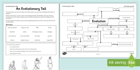 An Evolutionary Tail Worksheet Worksheet Teacher Made