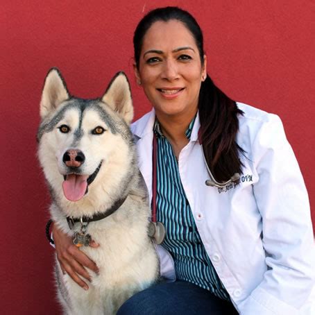 Family pet hospital clovis, ca 93611. Our Veterinarians & Staff - Armstrong Pet Hospital - Care ...