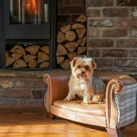 17 Comfortable And Stylish Dog Beds For The Most Pampered Pooches Hello