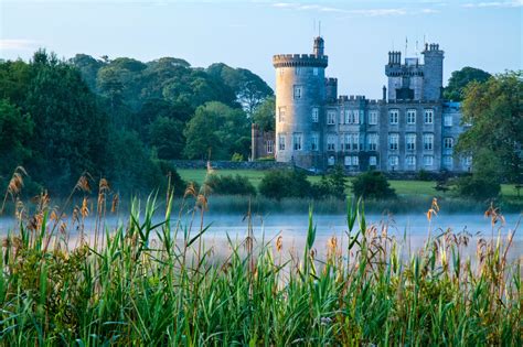 A Tree Falling Dromoland Castle Part Ii