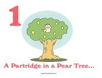A partridge in a pear tree. 12 Days of Christmas Song