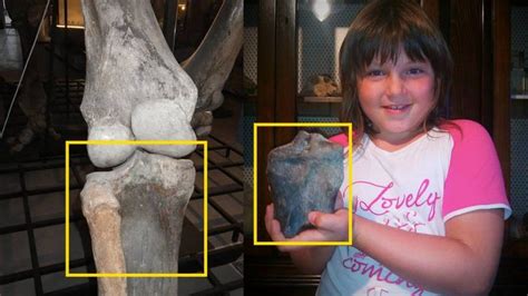 Italian Schoolgirl Unearths Woolly Mammoth Bone Bbc News