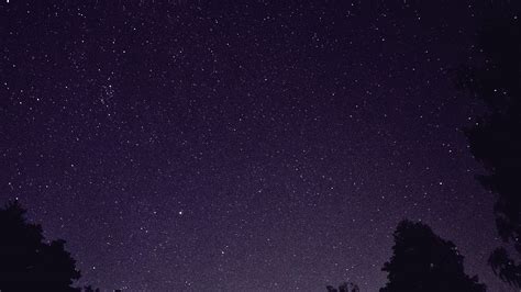 Mt41 Starry Night Sky Star Galaxy Space Dark Purple Wallpaper