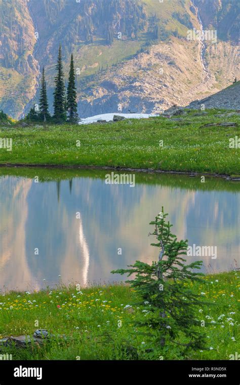 Canada British Columbia Selkirk Mountains Marmot Lake Reflection