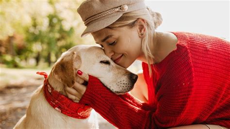 descifrando el lenguaje de amor canino señales de que tu perro te ama