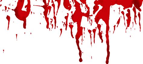 Download Blood Splatter Png Transparent Background Png And  Base