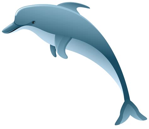 Clip Art Dolphin 20 Free Cliparts Download Images On Clipground 2023
