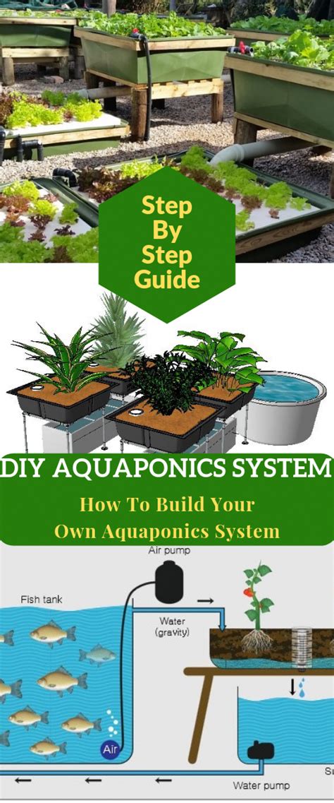 Aquaponics Diy How To Build A Diy Aquaponics System There Are Plenty
