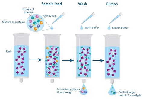 Affinity Chromatography Apparatus