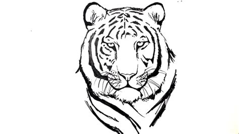 How To Draw A Tiger Step By Step Tiger 3dvkarts Tiger Drawing How