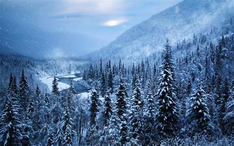 4579683 Winter Cold Alaska White Forest Landscape River Snow