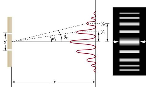 Youngs Double Slit Experiment Fundamentals Of Heat Light And Sound