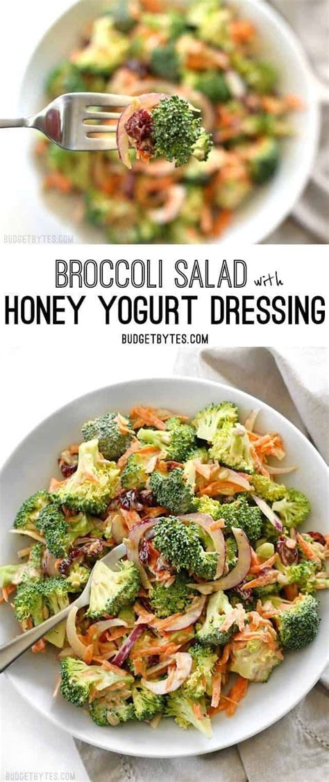 Add about half of the honey mustard dressing to the broccoli salad, then stir to coat. Broccoli Salad with Honey Yogurt Dressing | Budget Bytes ...