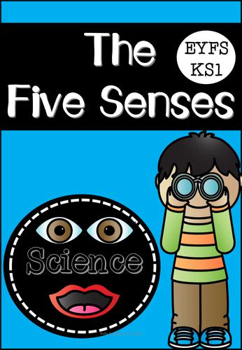 The Fives Senses Unit Of Work Eyfsks1 Teaching Resources